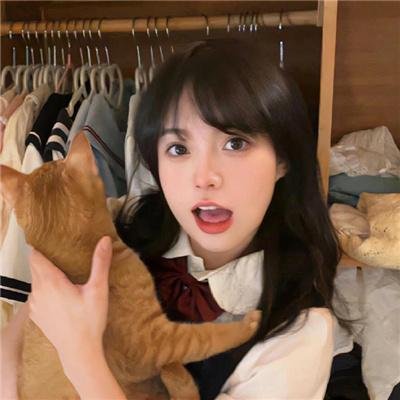星级汪站长
