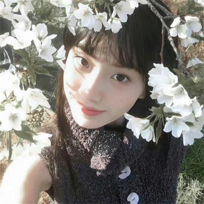 我的野兽